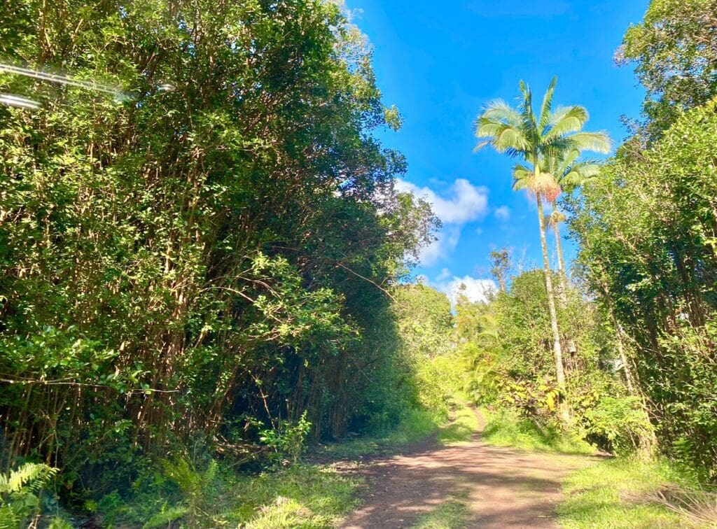 7,750 SF LOT IN BEAUTIFUL BLACK SAND BEACH S/D, KIKALA KEOKEA, PUNA HAWAII~OWC!!