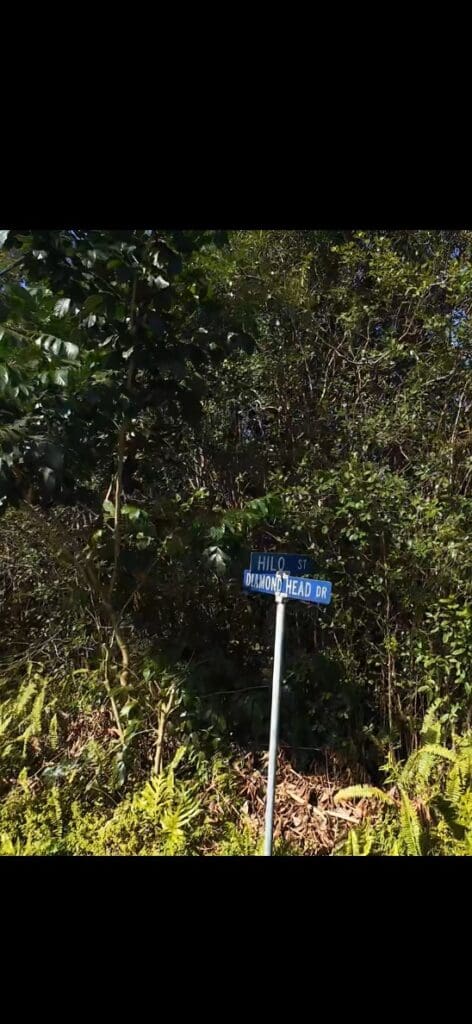 7,750 SF LOT IN BEAUTIFUL BLACK SAND BEACH S/D, KIKALA KEOKEA, PUNA HAWAII~OWC!!